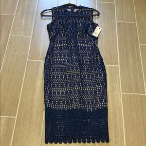 Lace Sapphire Dress